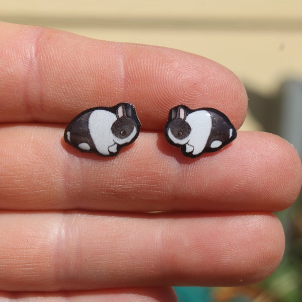 Dutch Bunny Rabbit Stud Earrings: Gift for animal lovers, vet techs, veterinarians, zookeeper's cute earrings with Stainless Steel Posts