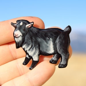 Pygmy Dwarf goat magnet: Gift for Goat lovers, , , vet techs, veterinarians zookeepers cute animal magnet for locker or fridge