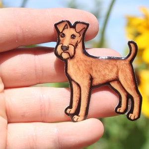 Irish TerrierTerrier Magnet: Gift for Dog lovers, vet techs, veterinarians, zookeepers cute animal magnet for locker or fridge