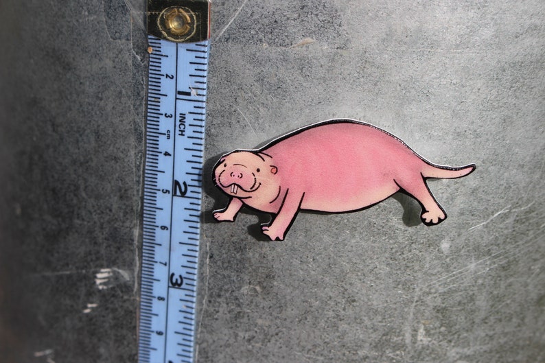 Naked Mole Rat Magnet: Gift for Rat lovers or Rat loss memorial Cute rat art animal magnets for locker or fridge image 3