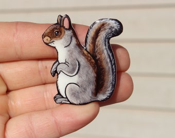 Squirrel Magnet: Gift for squirrel lover or squirrel loss memorial cute animal magnets for locker or fridge