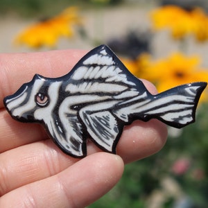 Zebra Plecostomus Magnet: Gift for pleco suckerfish lovers, vet techs, veterinarians zookeepers cute fish animal magnet for locker or fridge
