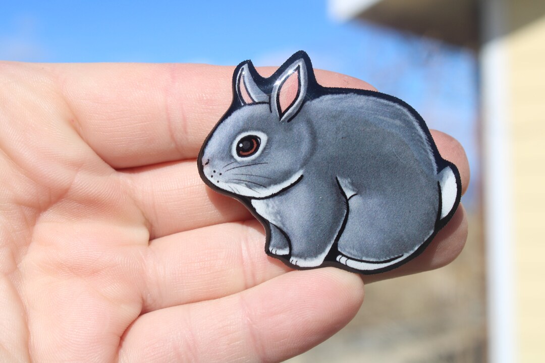 Fridge Magnets - Otter Trail - Take a Hike