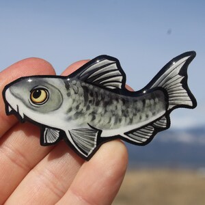 May include: A hand-painted fish pin with a black and white speckled pattern, a white belly, and a black outline. The fish has a large, round eye with a yellow iris.