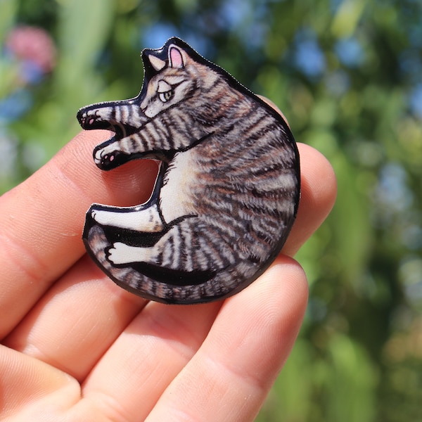 Tabby Cat Magnet: gift for tabby cat lovers , vet techs, veternarians zookeepers cute cat magnets for locker or fridge