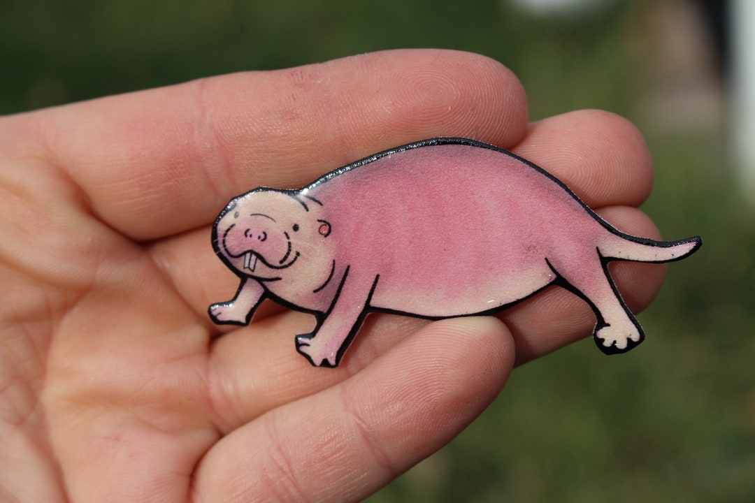 Naked Mole Rat Magnet: Gift for Rat Lovers or Rat Loss - Etsy Naked Mole Rat Magnet: Gift for Rat Lovers or Rat Loss - Etsy