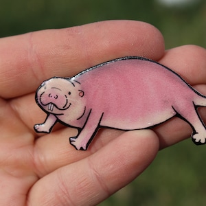 Naked Mole Rat Magnet: Gift for Rat lovers or Rat loss memorial Cute rat art animal magnets for locker or fridge image 1