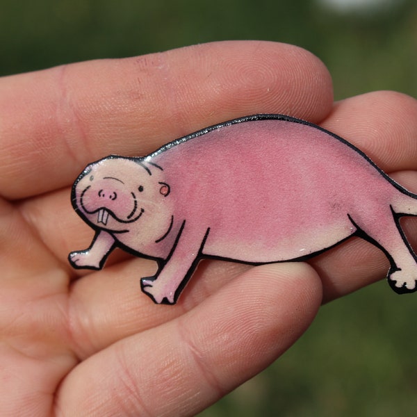 Naked Mole Rat Magnet: Gift for Rat lovers or Rat loss memorial Cute rat art animal magnets for locker or fridge