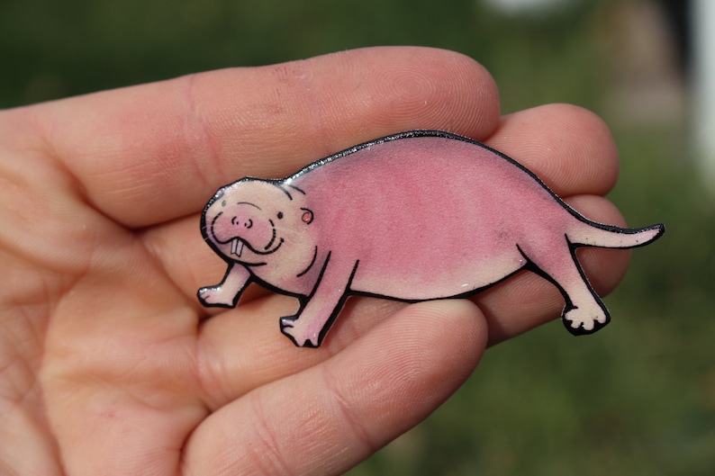 Naked Mole Rat Magnet: Gift for Rat lovers or Rat loss memorial Cute rat art animal magnets for locker or fridge image 1