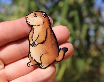 Prairie Dog Magnet: Gift for dog lover, vet tech, veterinarian, zookeeper gift cute animal magnets for locker or fridge