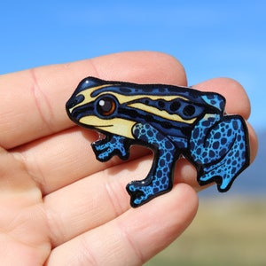 Poison Dart Tree Frog magnet: Gift for frog lovers, vet techs, veterinarians, zookeepers cute animal magnets for locker or fridge
