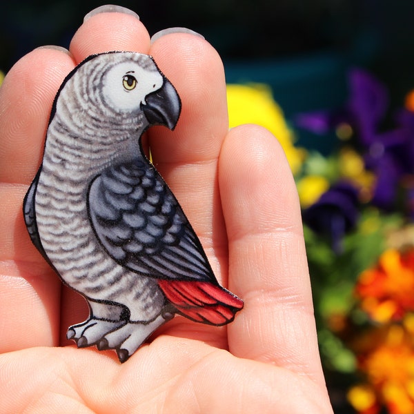 African grey Parrot Magnet: Gift for bird lovers, vet techs, veterinarians, zookeepers cute animal magnets for locker or fridge