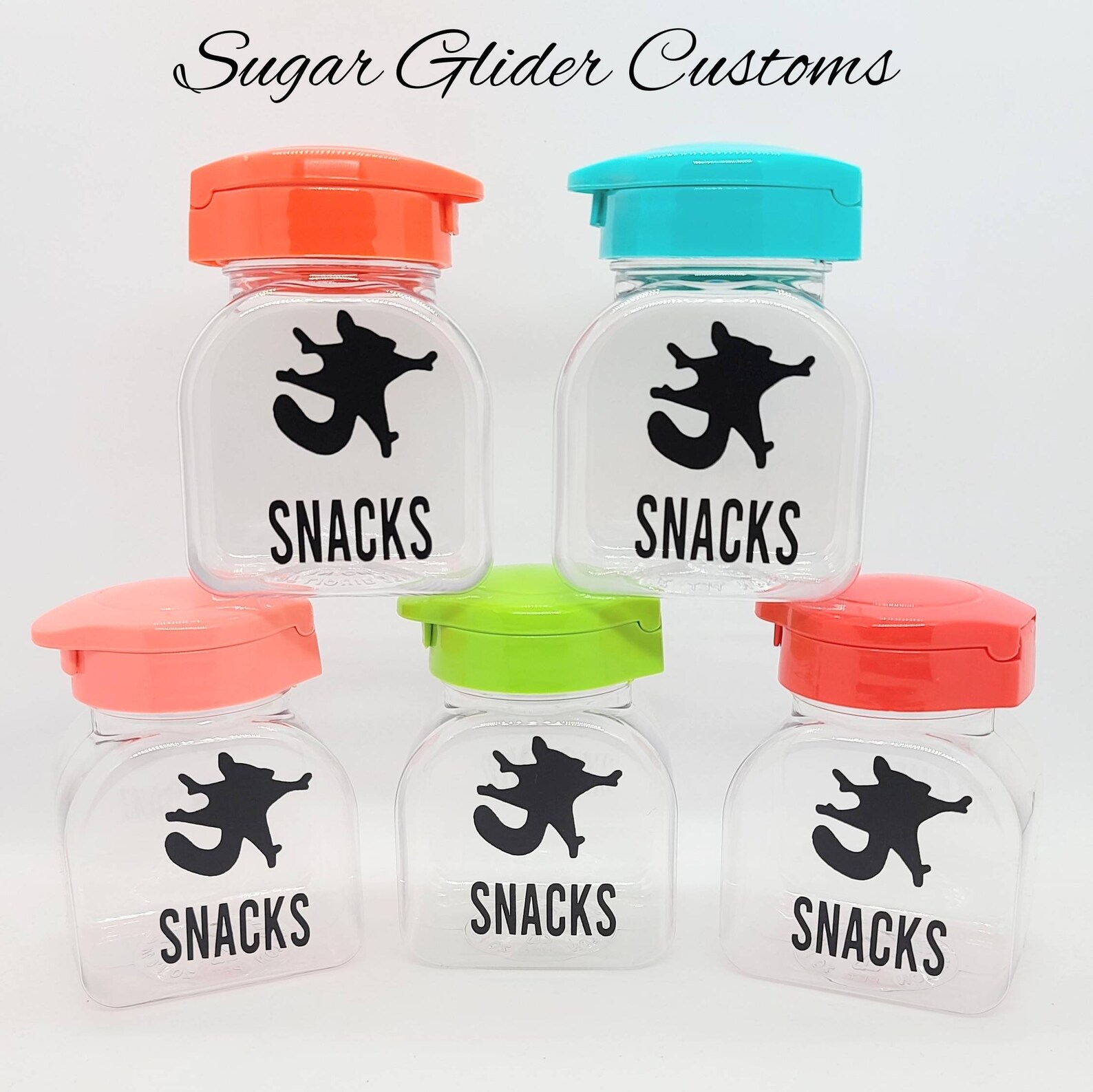 View of Sugar Glider Treat Container, Small Animal Snacks, Airtight Lid - Etsy