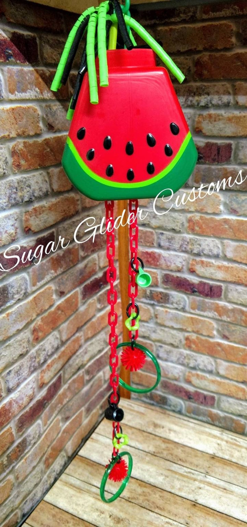 foraging toy Enrichment Toy Watermelon Pulley Toy small animals sugar glider toys