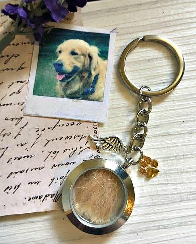 Download Dog Cat Or Pet Memory Keyring Fur Ashes Or Picture Memorial Locket Pet Loss Keychain Sympathy Urn Condolences Death Commemorative Keepsake Urns Memorials Pet Memorial Jewelry Safarni Org