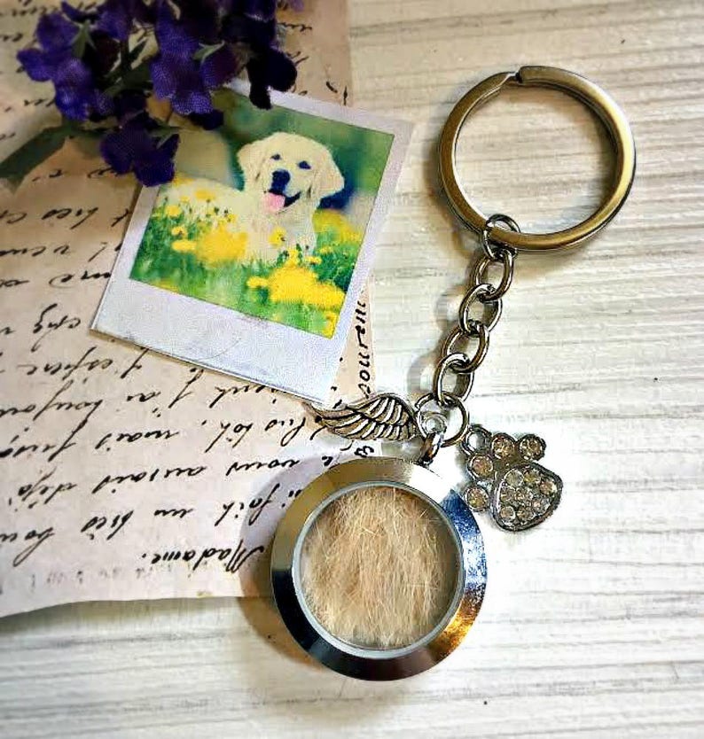 En mémoire de Pet Chien Chat deuil porte-clés Commémoratif Ange Aile Paw Print cœur