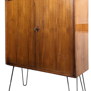 Mid Century Modern Swedish Teak Cabinet