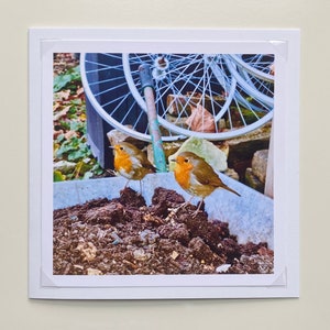 Die zwei Rotkehlchen - Handgemachte Fotografie Grußkarte