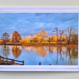 Rivier bomen - handgemaakte wenskaart / gouden bomen / boom reflectie fotografie / rivier de Theems bomen