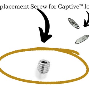 Peut inclure: Une vis de remplacement argentée pour une serrure Captive™. La vis est entourée d'or et est présentée à côté de deux plaques de serrure argentées.