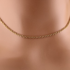 May include: A gold chain necklace with a delicate cable link design.