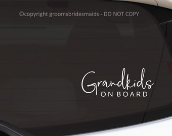 Personalised Star Shaped Grandchildren Baby// child on Board Car Window Sign pibl