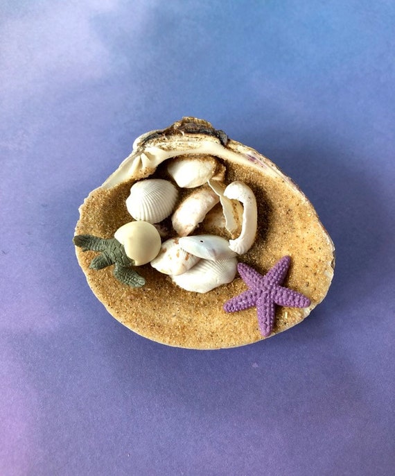 Shell Home Decoration Turtle Home Decor Ocean Themed Gift Etsy