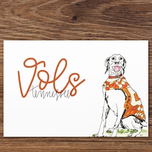 Cartão comemorativo do Tennessee Vols, 7x5, impressão digital