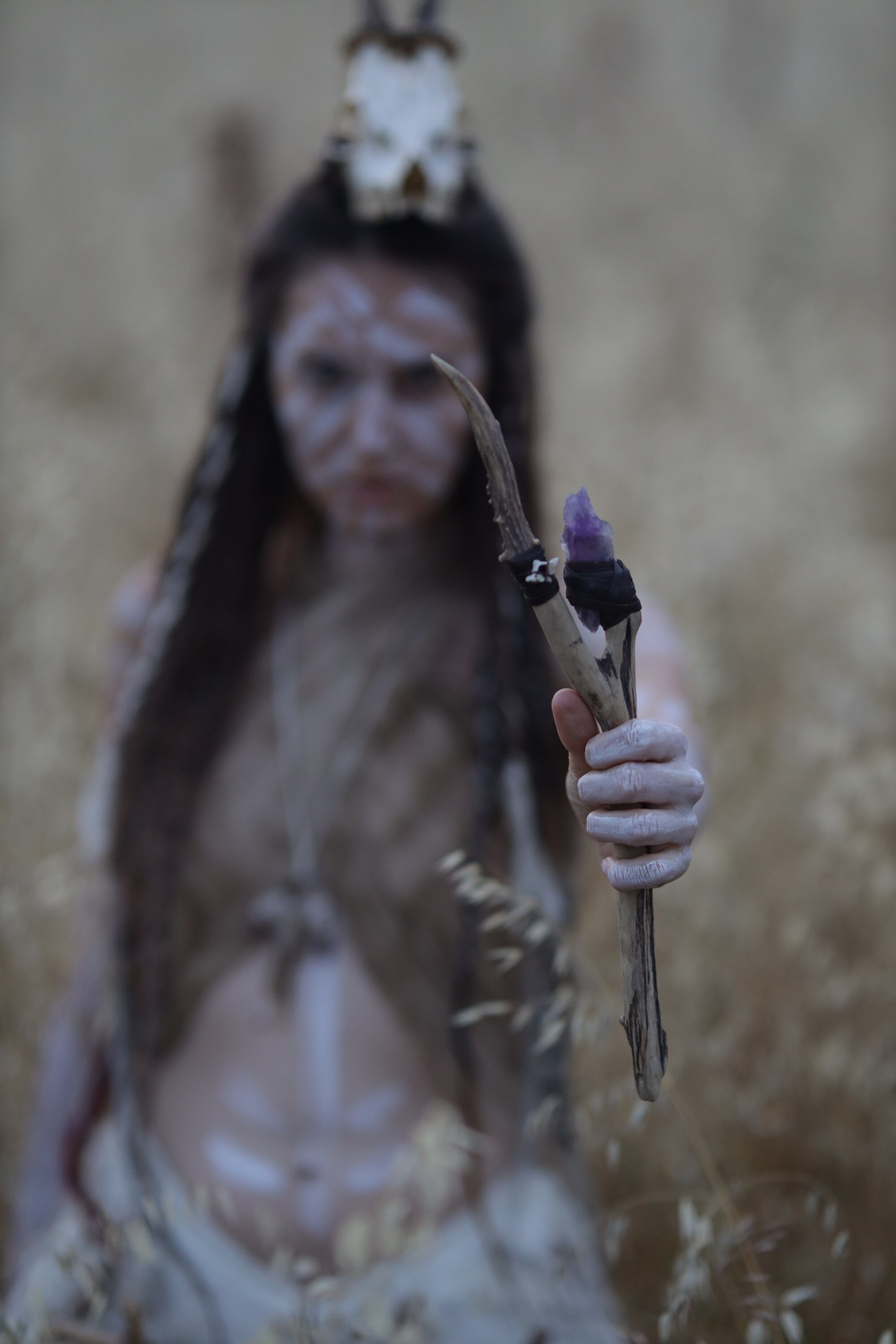 Deer Antler Healing Wand with Vertebra Raw Amethyst Healing Stick