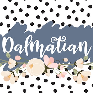 Dalmatian Script Font, handwritten font, handlettered font, Modern calligraphy font, Calligraphy font, script font, bold font, bouncy font