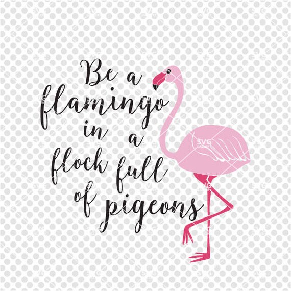 Ser un Flamingo entre una bandada de palomas Nuevo Collar Collar de tarjeta de mensaje