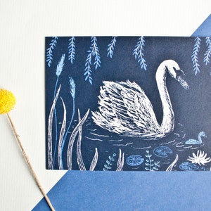 Cygnes de carte postale, illustration animale
