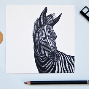 Postkarte Zebra, Illustration Tier