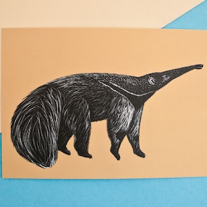 Carte postale fourmilier, illustration animalière