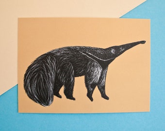 Anteater postcard, greeting card animals