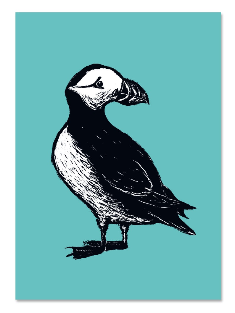 Poster puffin, A4 image 2