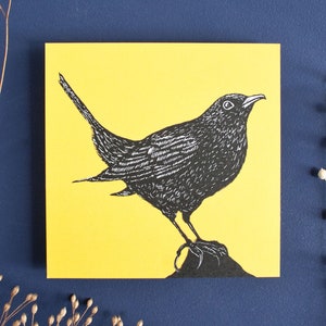 Carte postale merle, illustration oiseau