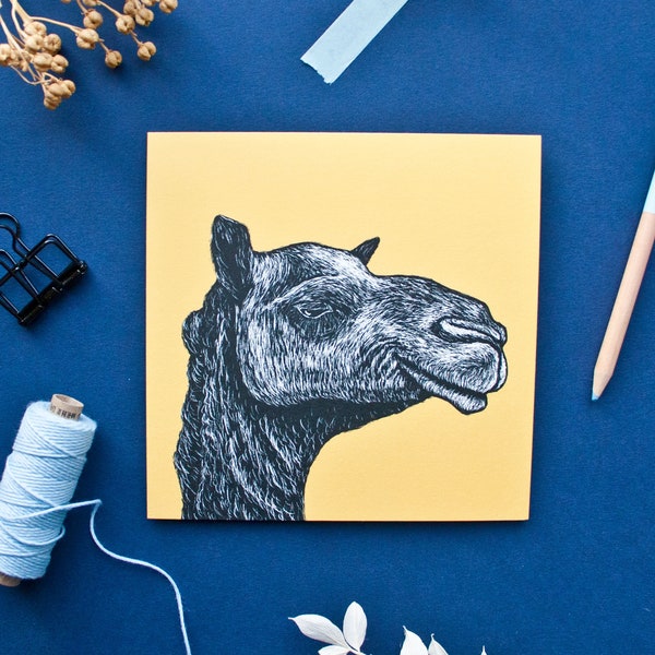 Postkarte Kamel, Illustration für Naturliebhaber