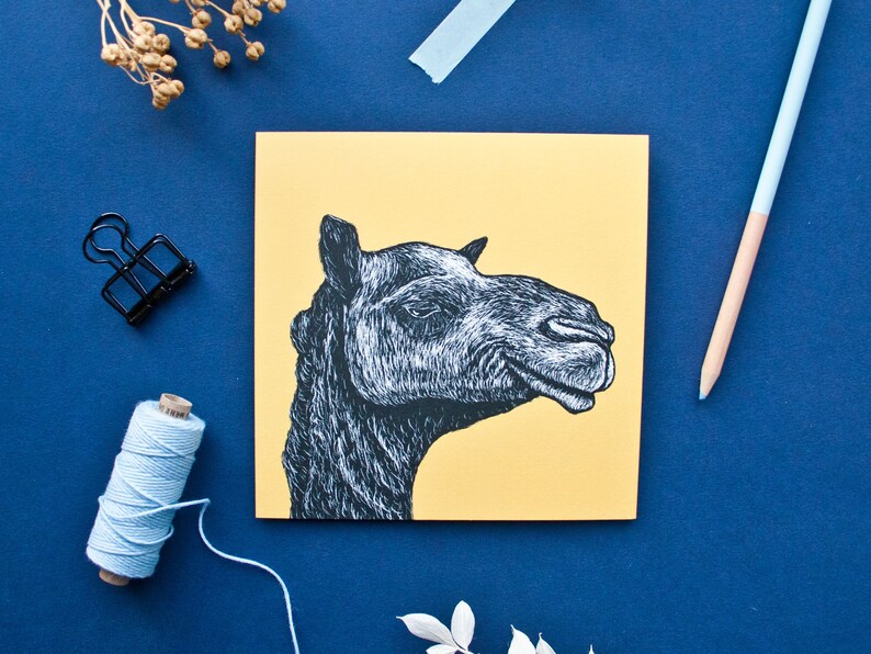 Postkarte Kamel, Illustration für Naturliebhaber Bild 1