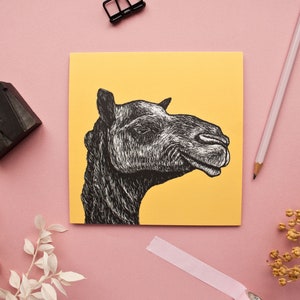 Postkarte Kamel, Illustration für Naturliebhaber Bild 8