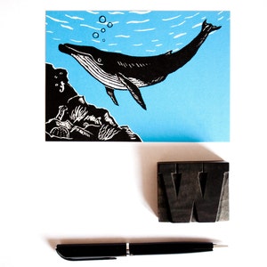 Postcard Whale, animal illustration image 4