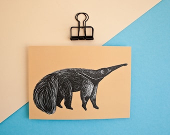 Anteater postcard, greeting card animals