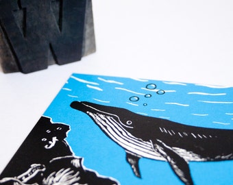 Postcard Whale, animal illustration, greeting card illustration, scratchboard, black white blue, wildlife postcard