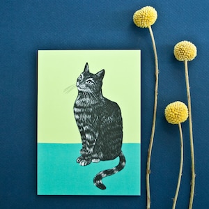 Carte postale Chat assis, illustration animalière A6