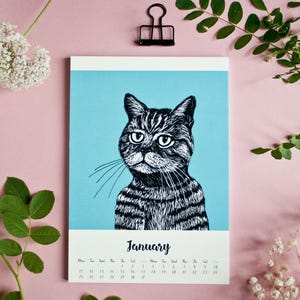 May include: A wall calendar page for January featuring a black and white ink-style illustration of a tabby cat centered against a solid light blue background. The calendar grid is printed in black text below the cat illustration on a white background.