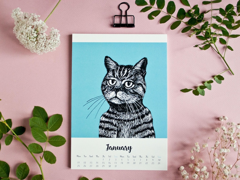 May include: A wall calendar page for January featuring a black and white ink-style illustration of a tabby cat centered against a solid light blue background. The calendar grid is printed in black text below the cat illustration on a white background.