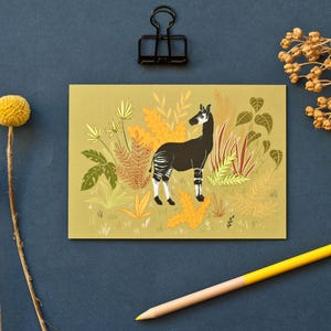 Carte postale Okapi, illustration animalière au format A6