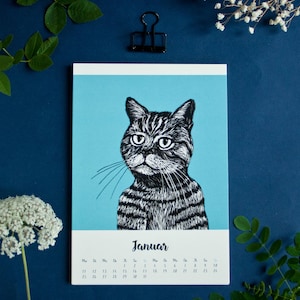May include: A wall calendar page for the month of Januar featuring a black and white ink-style illustration of a tabby cat against a solid light blue background. The calendar grid is printed in black text on a white background at the bottom.