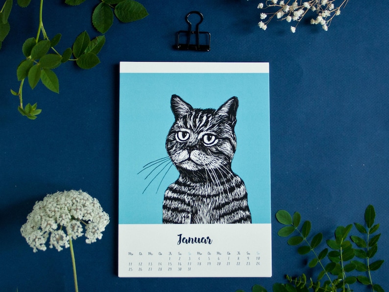 May include: A wall calendar page for the month of Januar featuring a black and white ink-style illustration of a tabby cat against a solid light blue background. The calendar grid is printed in black text on a white background at the bottom.