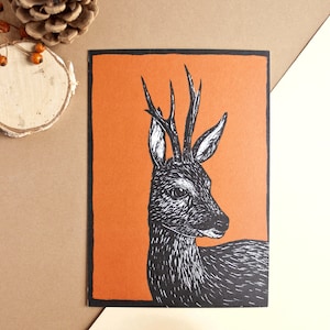 Cerf de carte postale, illustration animale